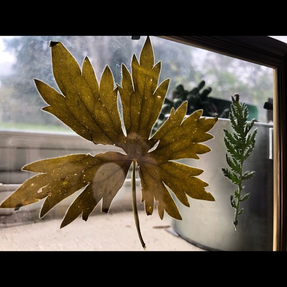 Floating Flower Frame Custom - Picture 2 of 4